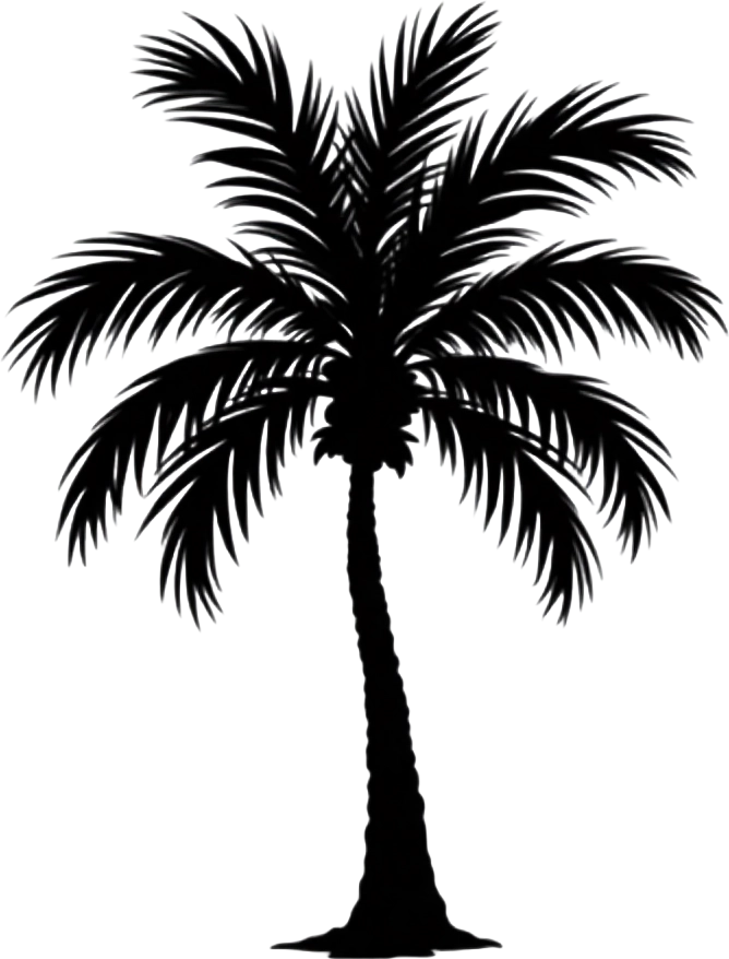 Palm Tree Silhouette